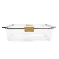 Modern Picnic Tritan Food Container Clear